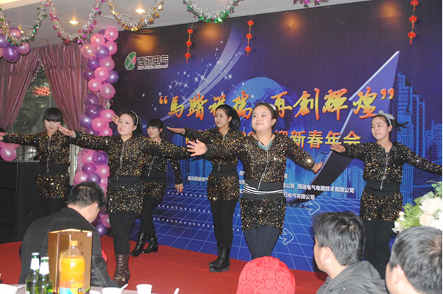 西馳電氣年會(huì)圓滿成功(圖9) 西馳電氣年會(huì)圓滿成功(圖9)